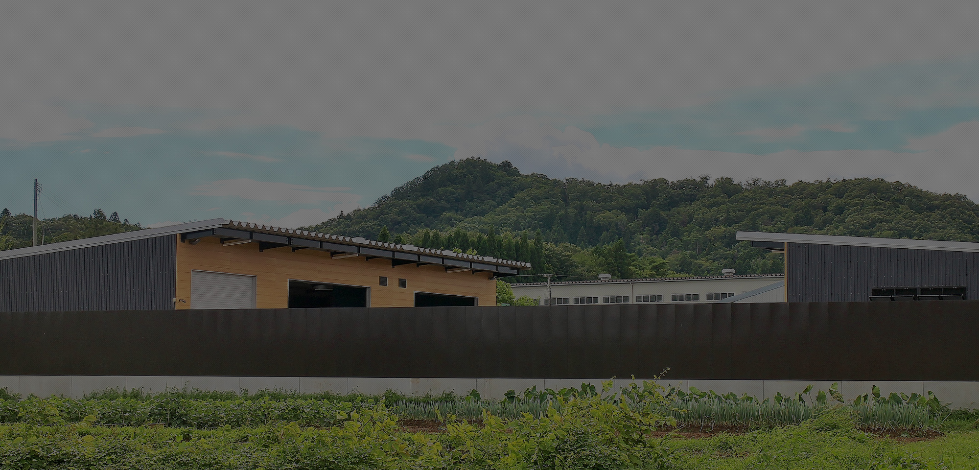 株式会社サンズリサイクルサービス